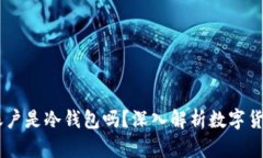 USDT资金账户是冷钱包吗？